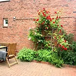 Annas Garten
