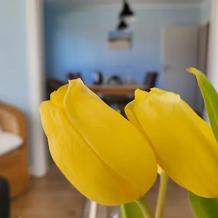 Annas Garten Hébergement de vacances Böhl